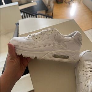 Nike Air Max Sneakers